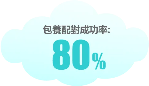 包養配對成功率:80%